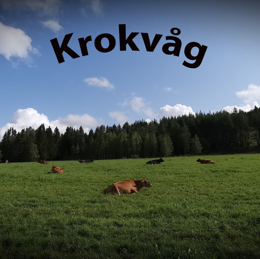 Krokvåg Design